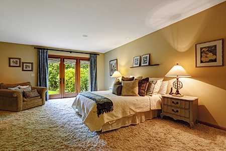 carpet cleaning